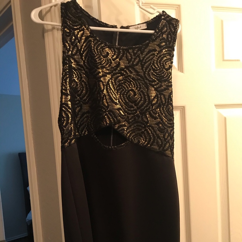 Stylebook Gold and Black Dress